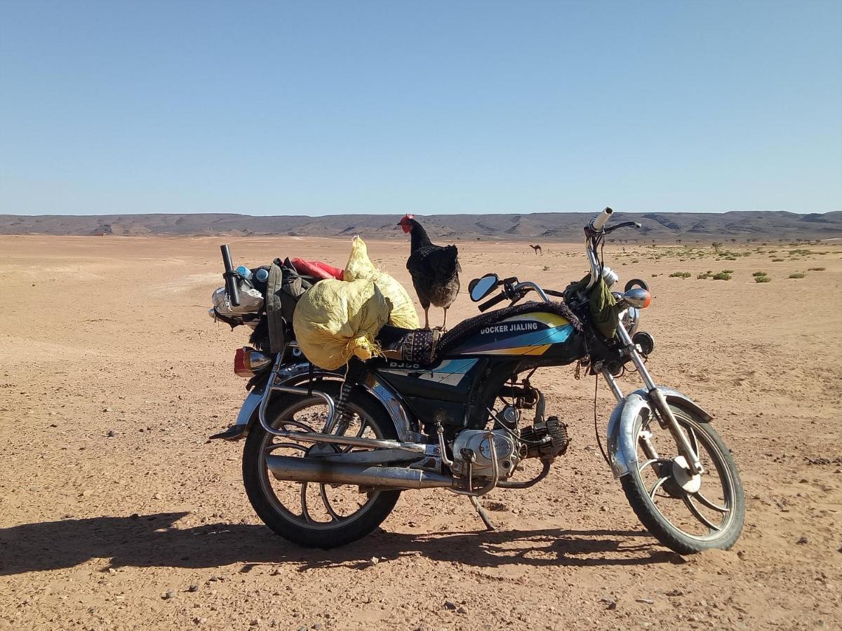 فندق Sahara Peace Camp زڭورة المظهر الخارجي الصورة