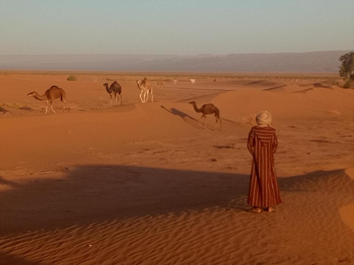فندق Sahara Peace Camp زڭورة المظهر الخارجي الصورة