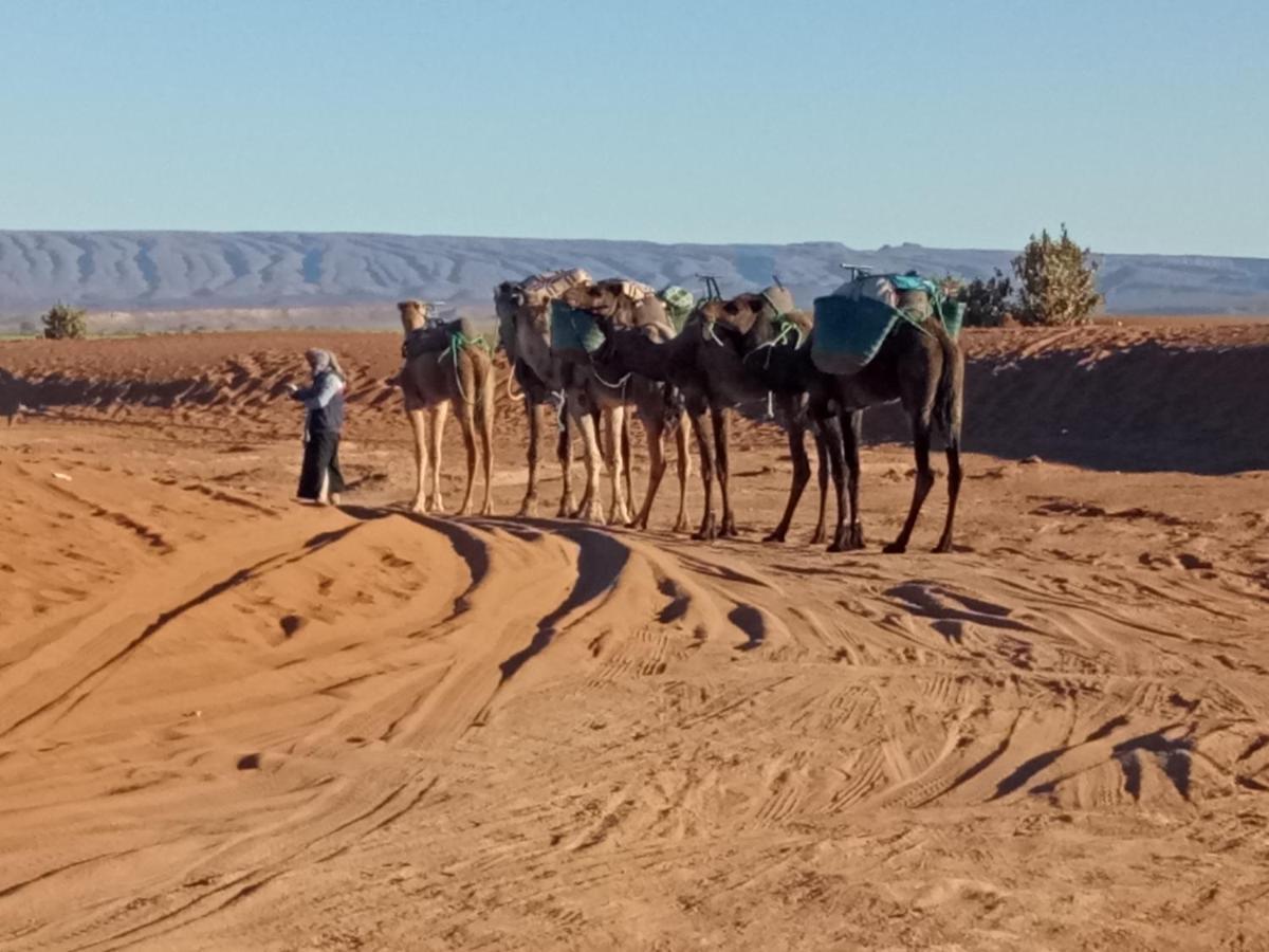 فندق Sahara Peace Camp زڭورة المظهر الخارجي الصورة