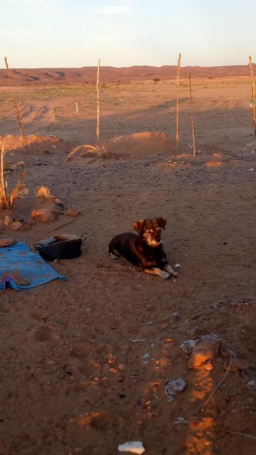 فندق Sahara Peace Camp زڭورة المظهر الخارجي الصورة